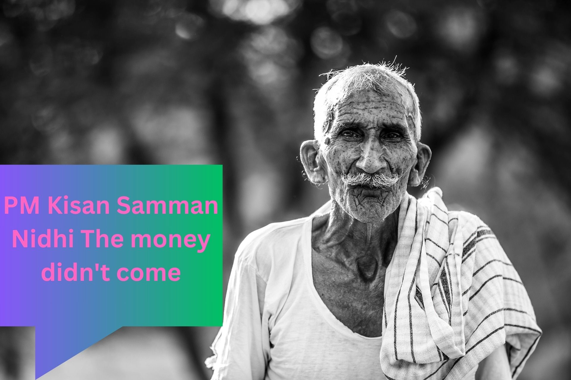 PM Kisan Samman Nidhi The money didn't come