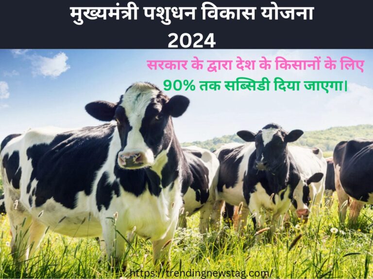 मुख्यमंत्री पशुधन विकास योजना 2024