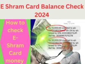 E Shram Card Balance Check 2024