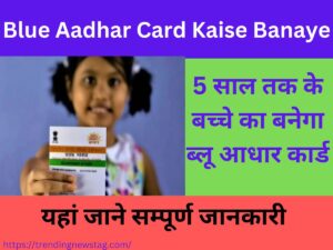 Blue Aadhar Card Kaise Banaye : 5 साल तक के बच्चे का बनेगा ब्लू आधार कार्ड, यहां जाने सम्पूर्ण जानकारी !