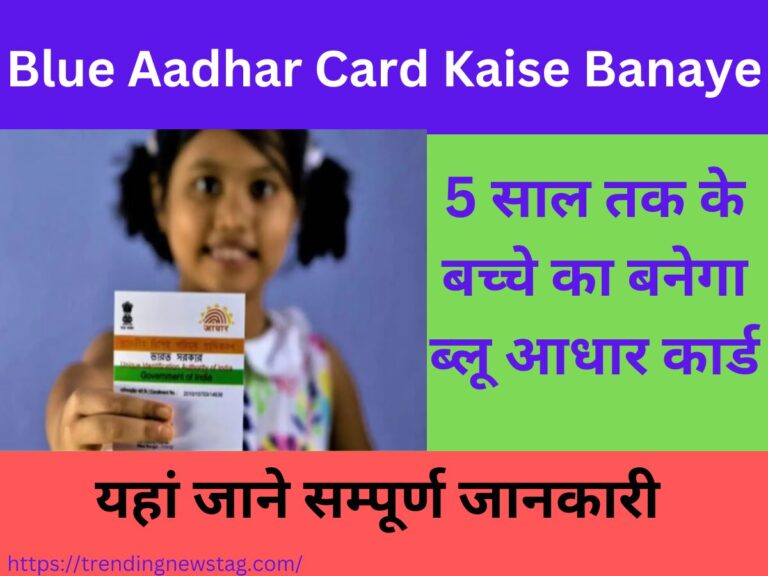 Blue Aadhar Card Kaise Banaye : 5 साल तक के बच्चे का बनेगा ब्लू आधार कार्ड, यहां जाने सम्पूर्ण जानकारी !