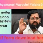 (Form PDF) Mukhyamantri Vayoshri Yojana 2024: वरिष्ठ नागरिक को 3,000 रुपये की वित्तीय सहायता